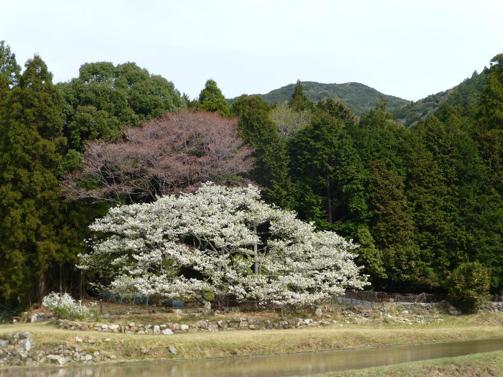 Tabinoyado Ushionoakari Geiboso Ryokan Shima (Mie)